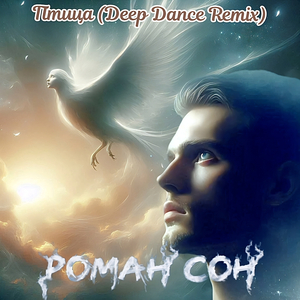 Птица (deep dance remix)