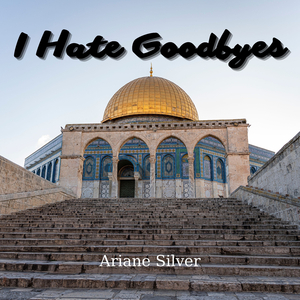 I Hate Goodbyes