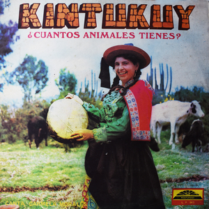 Oveja Kintuy