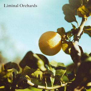 Liminal Orchards