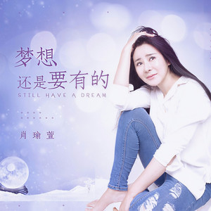 梦想还是要有的