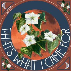 That's What I Came For