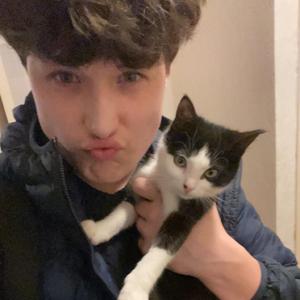 Sulle... (vaan sulle)