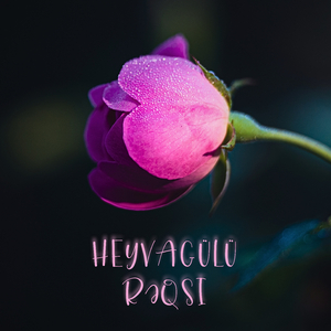 Heyvgülü Rəqsi (Korg Pa5X Oriental)