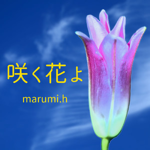 半世紀 (feat. 児島ももこ)