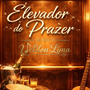 Elevador Do Prazer