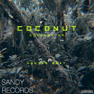 Coconut (Original Mix)