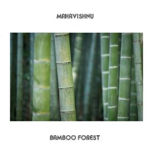 Bamboo Forest