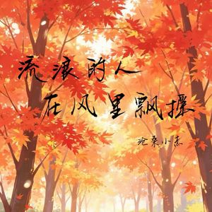 流浪的人在风里飘摇