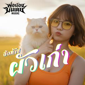 ส่งท้ายผัวเก่า