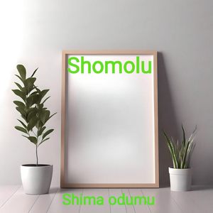 Shomolu