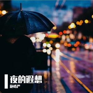 夜的遐想