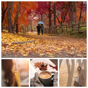 가을바람 속에 실려