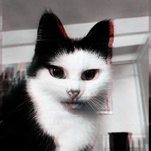 灰色的你（Prod. LOU BOY）