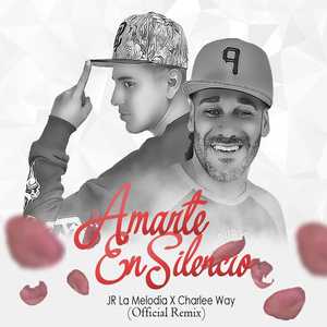 Amarte en Silencio (Remix)