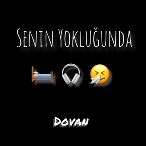 Senin Yokluğunda (Speed Up Version) (Remix)