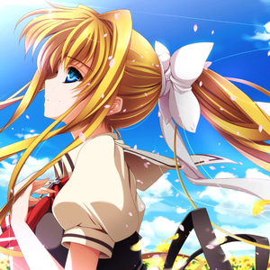 鳥の诗（Stisaal Flip）