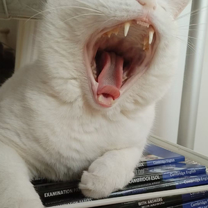 长痛不如短痛(Prod.No Birthday)