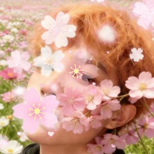 就算所有人不爱你，但一定不包含四季花