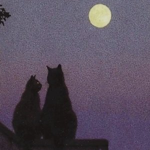 Moonlight（cover lil MILK）