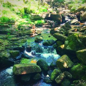 Padley Gorge, Peak District, Derbyshire, Pt. 6
