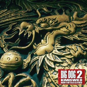 BIG DOG 2