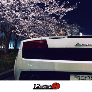 变心是本能忠诚却是选择