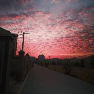 爱让高傲者低头