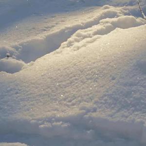 迷茫伤感（remix）