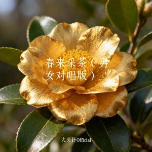 春来采茶 (男女对唱版)