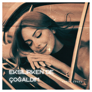 Eksilirken De Çoğaldım