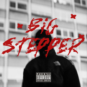 BIG STEPPER