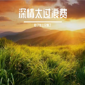 深情太过浪费