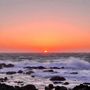 VIP List (feat. ssjkobe, kxngchrxsso, playboimanny, jvse, lukamagic, wavybrayy, yaboyuchia, ffskaz & dariusdickson)