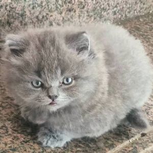 落在海平面的微光