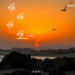 恨恨恨恨（DJ豪大大版）