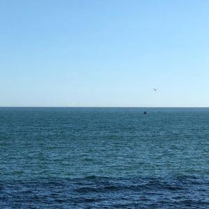 最好的爱煞人武器