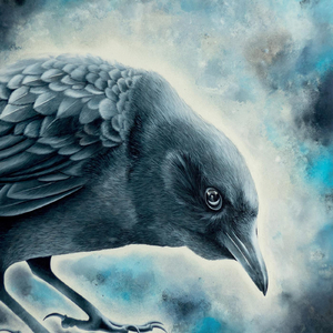 The Transit of Venus Across the Sun