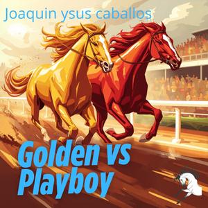 Golden vs Playboy