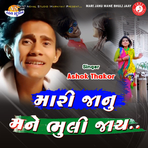 Mari Janu Mane Bhuli Jaay