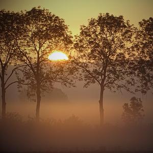 In The Softest Hours (feat. Lucius Bluenote Carter)