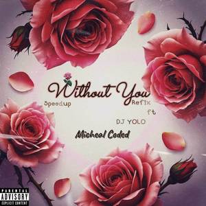 Without you (Remix)