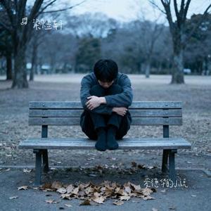 爱德华的小说 (Cover 宋拉西)