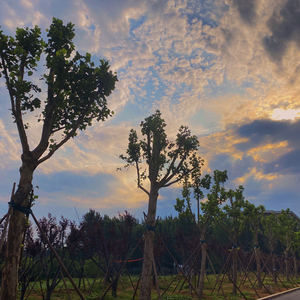 有个爱你的人不容易