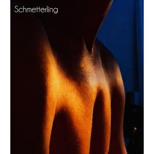 Schmetterling