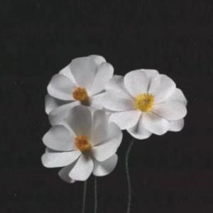 再生 feat.心华JP