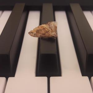 Waiting For Unhappening