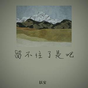 留不住了对吧 (降调版)