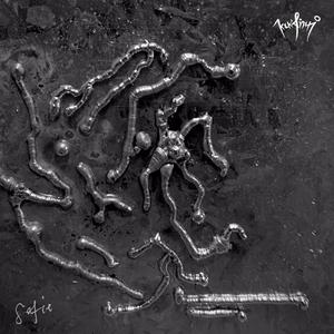 海的顏色 (Color of the Ocean)