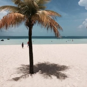 一朵情花开 (DJ何鹏版)